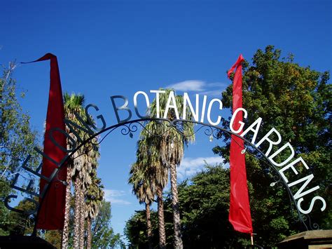 Geelong Botanic Gardens | Beginning-of-Allieinoz