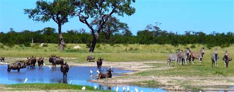 5+ Top Botswana Tourist Attractions & Places to Visit