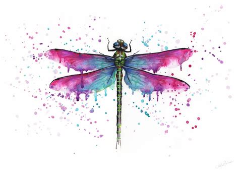 Dragonfly Painting Illustration Print Poster By Astrid Brisson