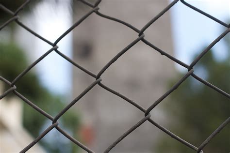 Free Images : branch, rope, light, fence, barbed wire, play, sunlight, leaf, child, material ...