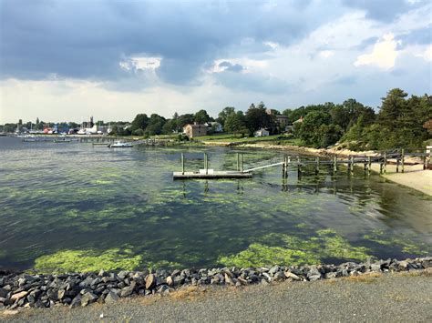 State targets nitrogen pollution in New Bedford harbor - The New ...