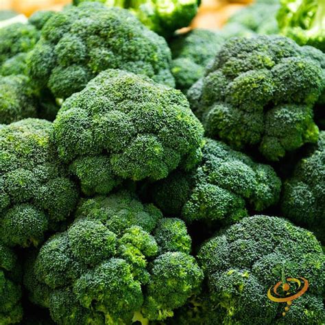 Broccoli Varieties, Types of Broccoli, Varieties of Broccoli