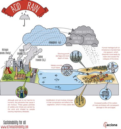 Getting Ahead: ACID RAIN class 3E