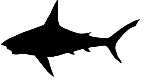Shark Silhouette Clipart | Free download on ClipArtMag