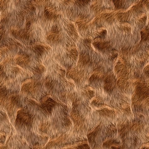 Seamless Fur Pattern 05 Free Stock Photo - Public Domain Pictures