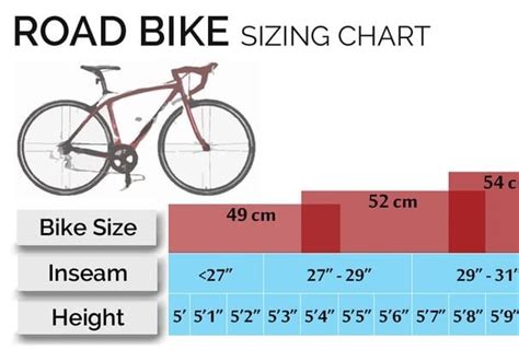 bike size inches chart > OFF-60%