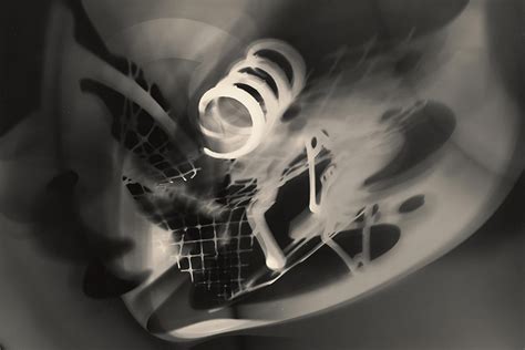 These Contemporary Photogram Artists Don't Need the Camera | Widewalls