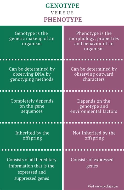 Difference Between Genotype and Phenotype - Pediaa.Com | Biology facts, Study biology, Basic ...