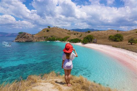 Komodo Island Pink Beach