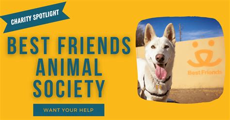 Help Best Friends Animal Society Reach Their “No Kill 2025” Goal – Dog ...