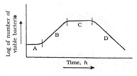 4 Phases of Bacterial Growth Curve ~ Biotechfront