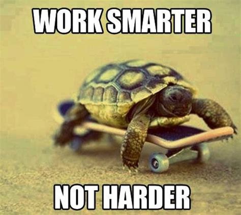 Work Smarter Not Harder | Ali Khan's Official Website