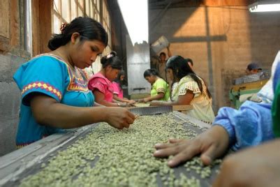 Coffee and the Ngobe-Bugle Culture of Panama - Kencaf Importing ...