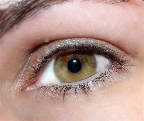 My eye | I love my eye colour. | Elaine | Flickr