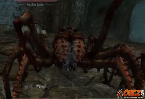 Skyrim: Frostbite Spider - Orcz.com, The Video Games Wiki