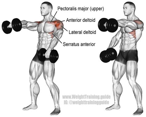 Alternating dumbbell front raise | Shoulder workout, Shoulder training ...