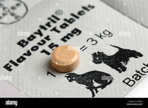 Baytril antibiotic tablets cats dogs hi-res stock photography and images - Alamy