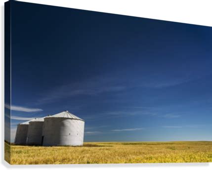 Download Large Metal Grain Bins In A Barley Field With Blue - Supplier Generic 0743312316719 ...