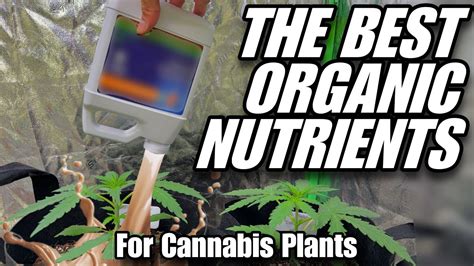 The Best Organic Nutrients for Cannabis Plants - YouTube