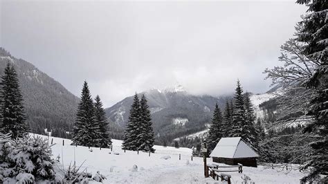 Snowy Mountain zoom background images free virtual call backgrounds