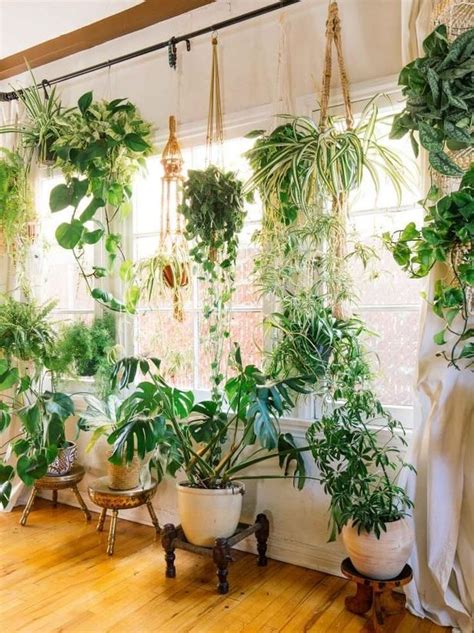 Some smart ideas on how to decorate with indoor plants. | Decoração ...