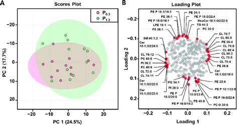 Principal component analysis (PCA) of the lipidome of the M.... | Download Scientific Diagram