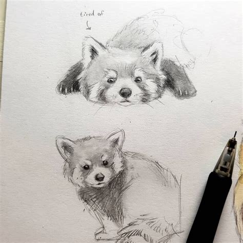 Design Stack: A Blog about Art, Design and Architecture: Cute Pencil Animal Drawings