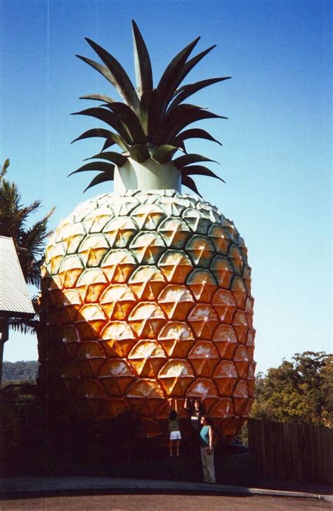 Kenilworth to The Big Pineapple – Wundercliffe