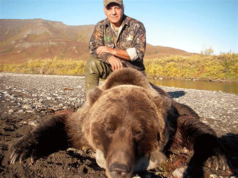 Alaska Grizzly Bear Hunt | Arctic North Guides