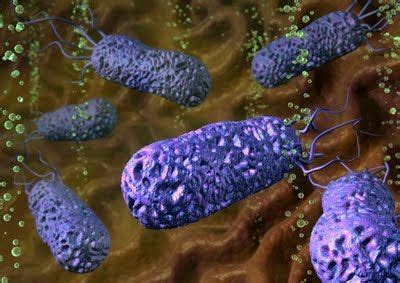 Bacterias Actuaciencia: Imágenes de bacterias generadas por ordenador