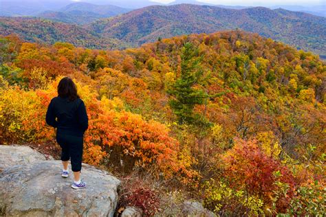 Vote - Shenandoah Valley - Best Destination for Fall Foliage Nominee: 2021 10Best Readers ...