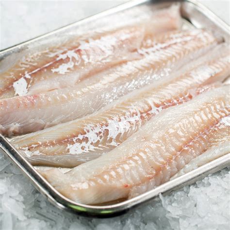 Haddock Single (2-4 fillets per 500g pack) – Express Fresh Fish