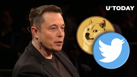 Elon Musk Responds to Dogecoin Co-Founder on Twitter, DOGE Price Suddenly Jumps 5%