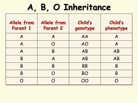 PPT - Blood-Type Genetics PowerPoint Presentation, free download - ID:916207