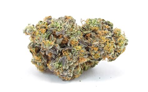 NBA All-Star Gary Payton’s New Cookies Strain Heating Up California ...