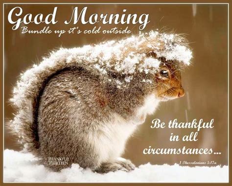 Pin by ~Anna~ on Good morning/Good night ~ And everything in between~ :) | Squirrel pictures ...