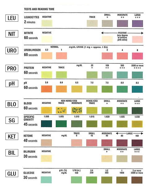 MultiStix 10SG Urinalysis Test Strips