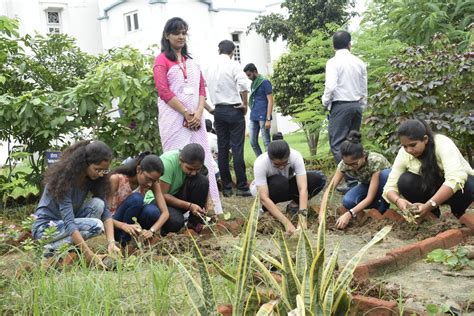 Tree Plantation Programme – BITSTECHNOLOGY