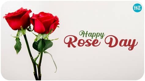 Happy Rose Day 2022: Wishes, images and quotes to send to your beloved ...