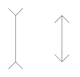 Müller-Lyer Illusion | Download Scientific Diagram