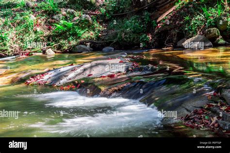 Waterfalls in Tzaneen, Limpopo Stock Photo - Alamy