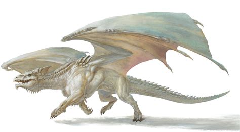 White dragon | Forgotten Realms Wiki | Fandom