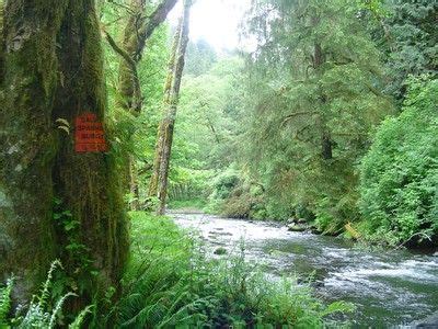 Oregon Coast Hiking Trails near Gold Beach | Oregon coast, Gold beach oregon, Gold beach