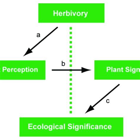 Herbivory and its related consequences in the ecosystem among ...