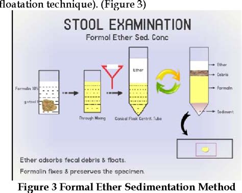 Figure 3 from Comparison of Routine and Concentration Techniques on Microscopic Examination of ...