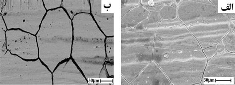 Electron microscope image of the microstructure of austenitic stainless ...