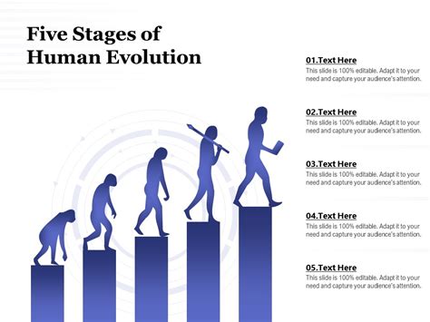 Five Stages Of Human Evolution Ppt Powerpoint Presentation Infographic ...