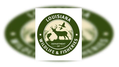 Louisiana Wildlife and Fisheries Foundation to host Art Exhibit ...