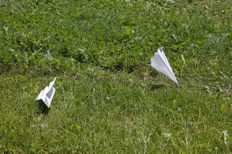 Paper plane race | Alexandre Lemieux | Flickr