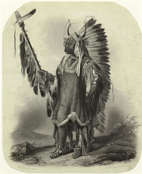 Mato-Tope (Four Bears), a Mandan chief. | Native american tribes, Aboriginal american, Native ...